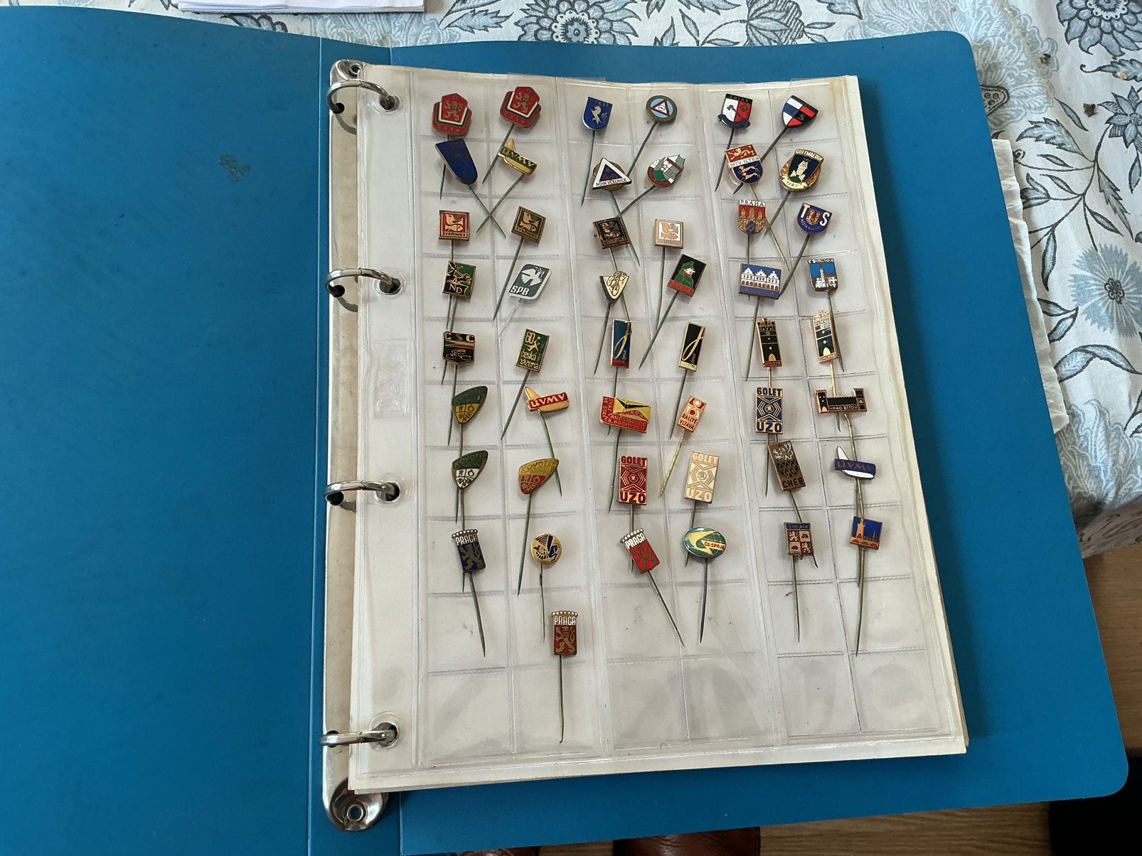 Speldjes, pins, Ophalen of Verzenden, Zo goed als nieuw, Overige onderwerpen