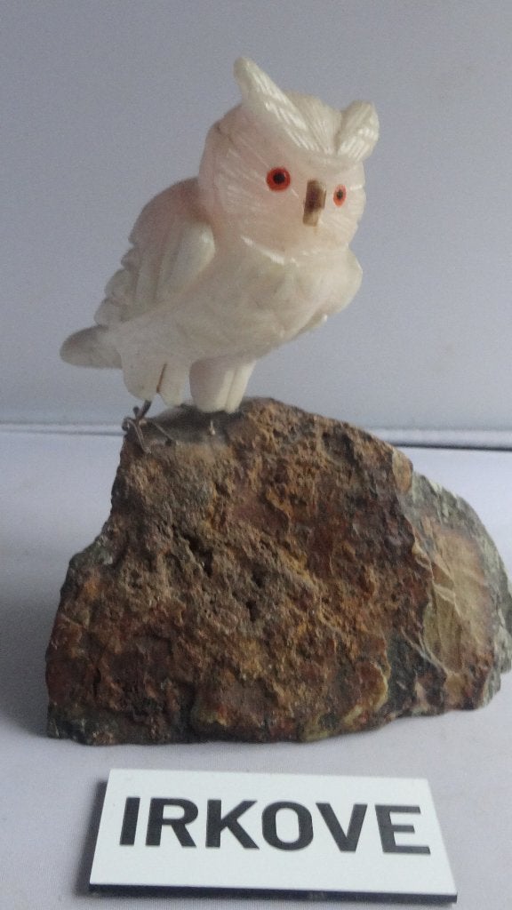 UIL OP STEEN * Roze Kwarts *, Minder dan 20 cm, Natuurlijk materiaal, Verzenden, Beeld