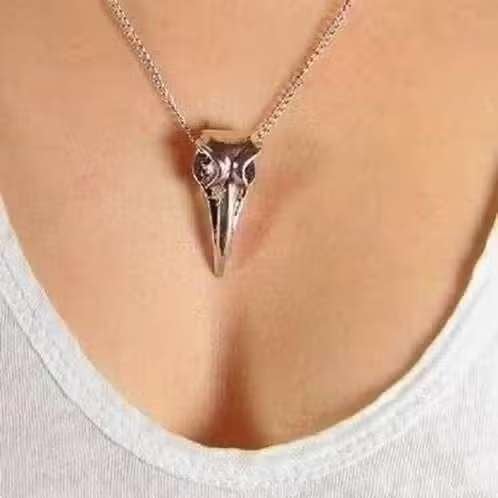 Gothic Raven Schedel met 60cm ketting Wicca / Viking / Skull, Nieuw, Ophalen of Verzenden, Zilver, Overige materialen