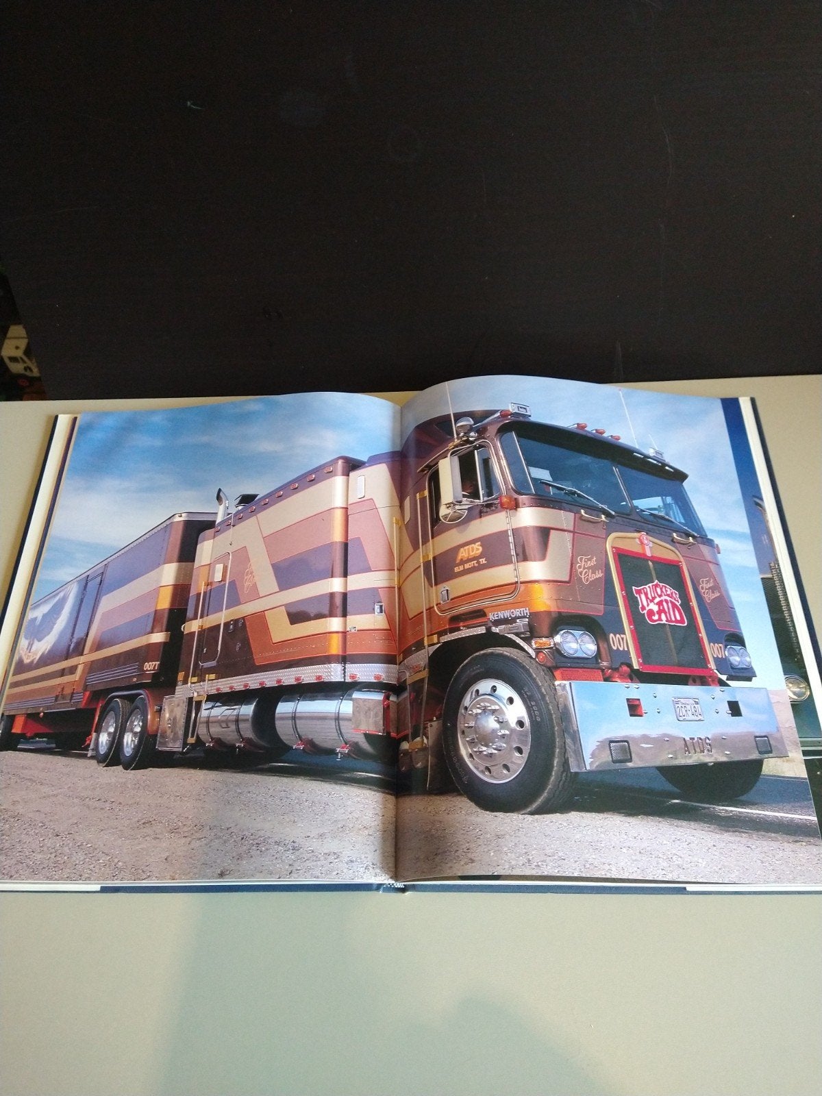 Fascinerende Trucks - Boek over vrachtwagens, Ophalen of Verzenden, Zo goed als nieuw, Francis Reyes, Vrachtwagen