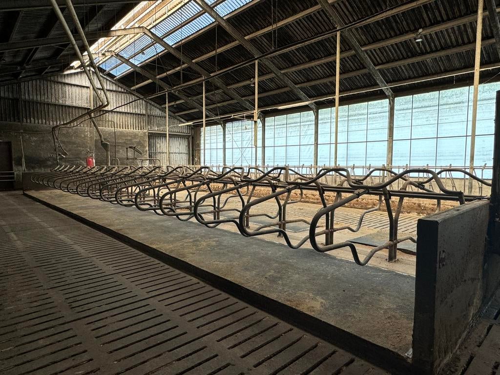 Complete Stalinrichting Melkvee, Dieren en Toebehoren, Stalling en Weidegang, Stalling