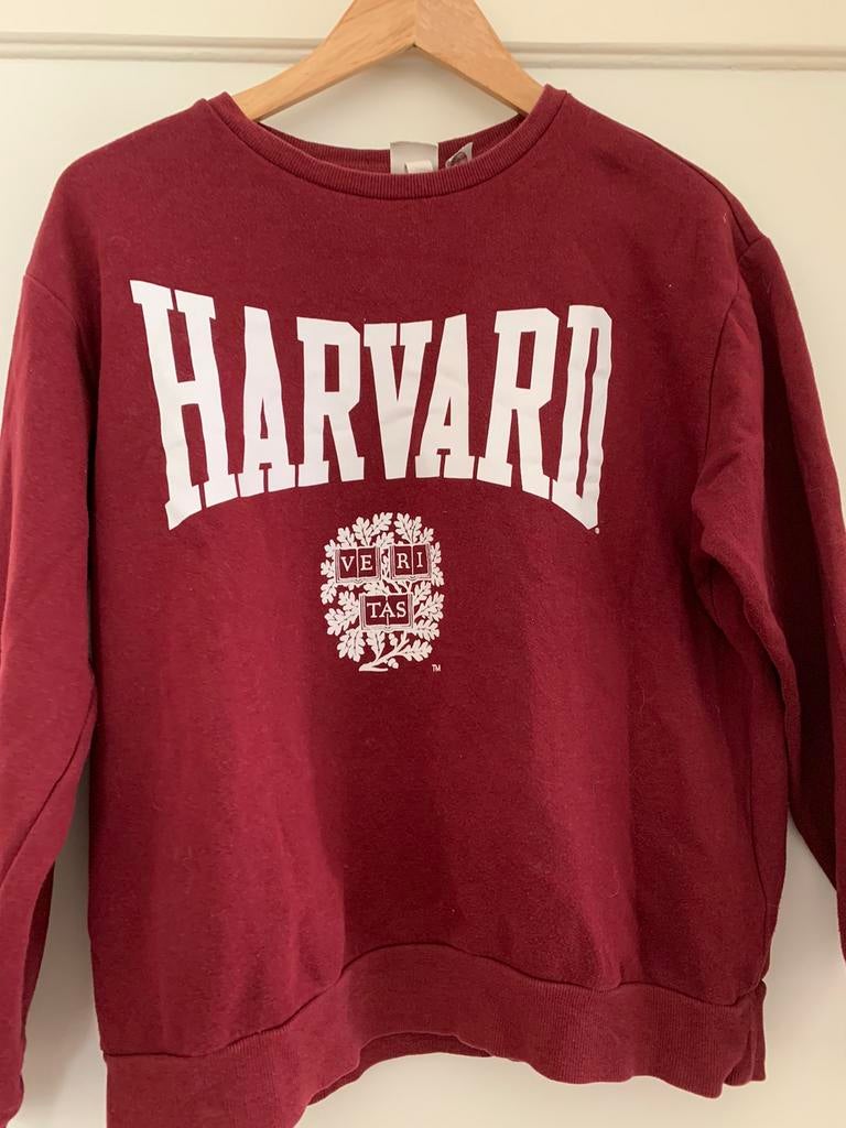 H&M sweater maat M, Verzenden, Gedragen, Maat 38/40 (M), Rood