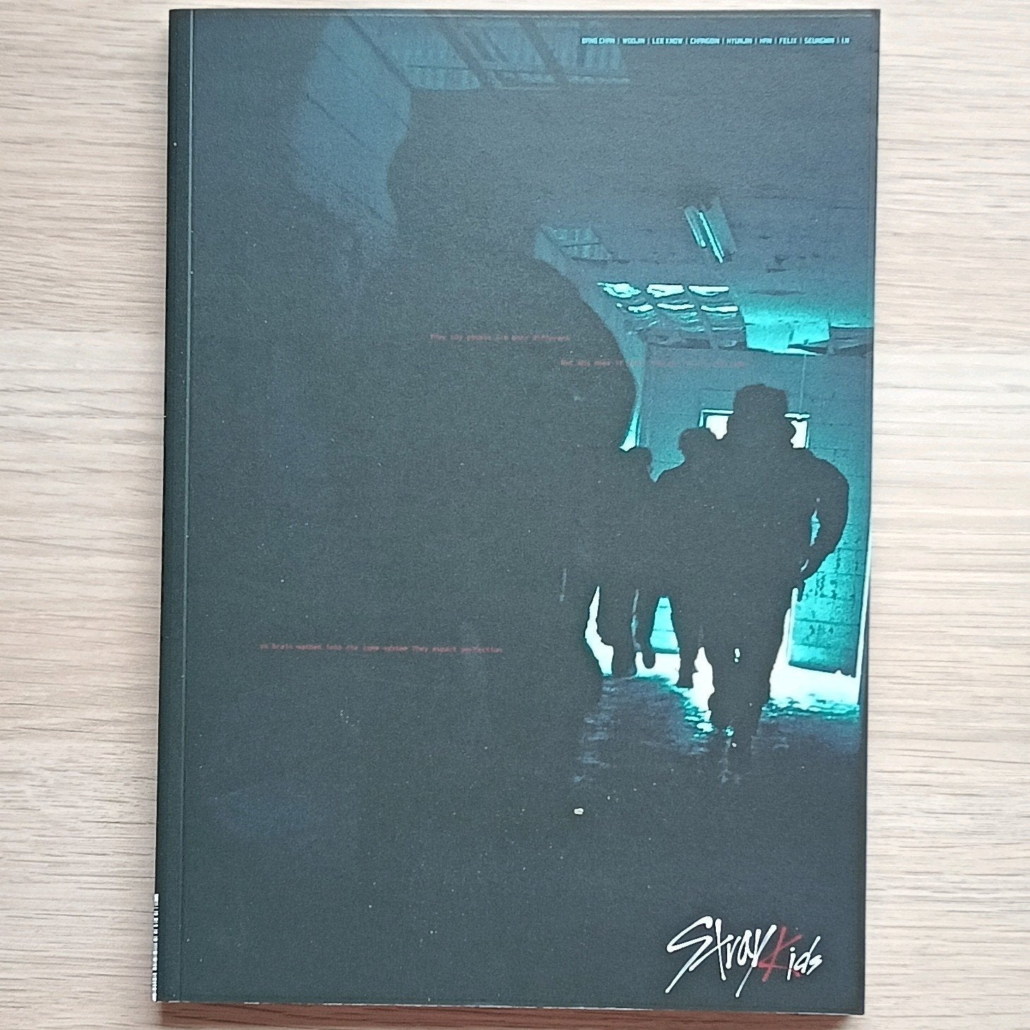 Stray kids I am not album zonder PCs, Verzamelen, Muziek, Artiesten en Beroemdheden, Ophalen of Verzenden, Zo goed als nieuw, Foto of Kaart