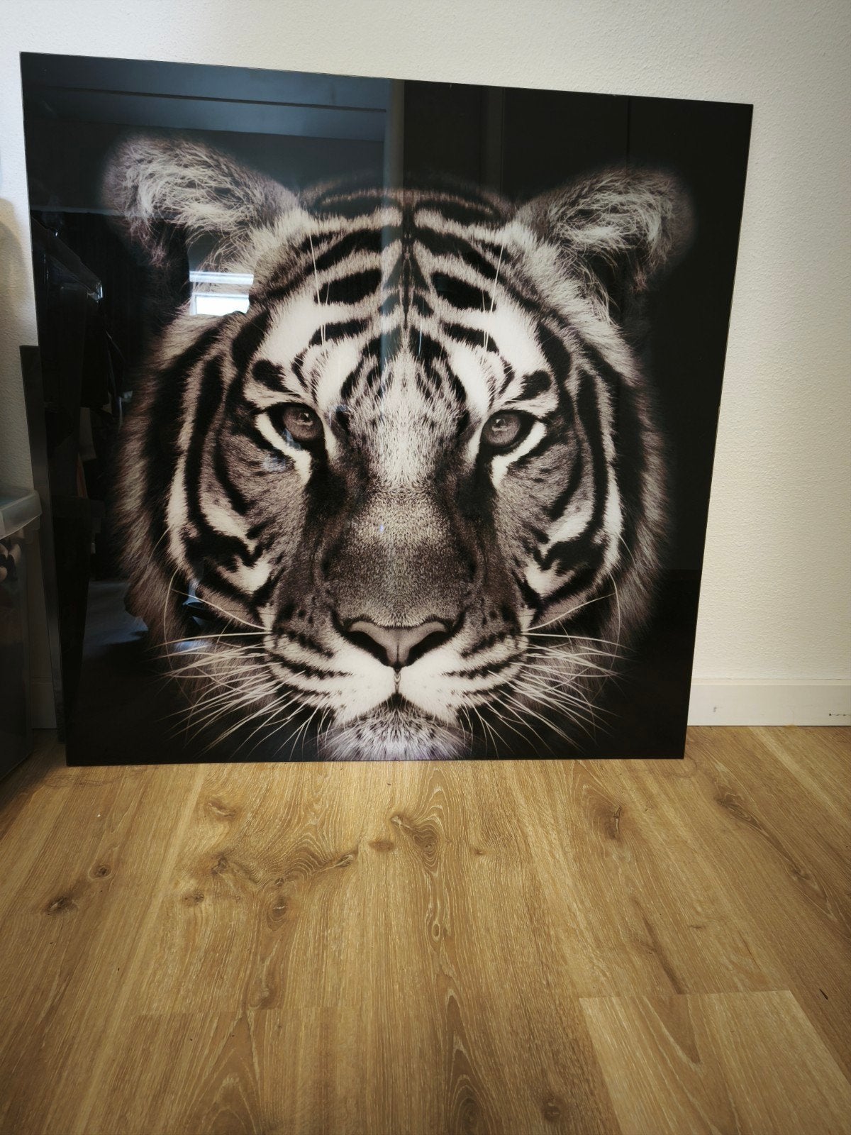 Glas schilderij tijger 80x80cm, Ophalen