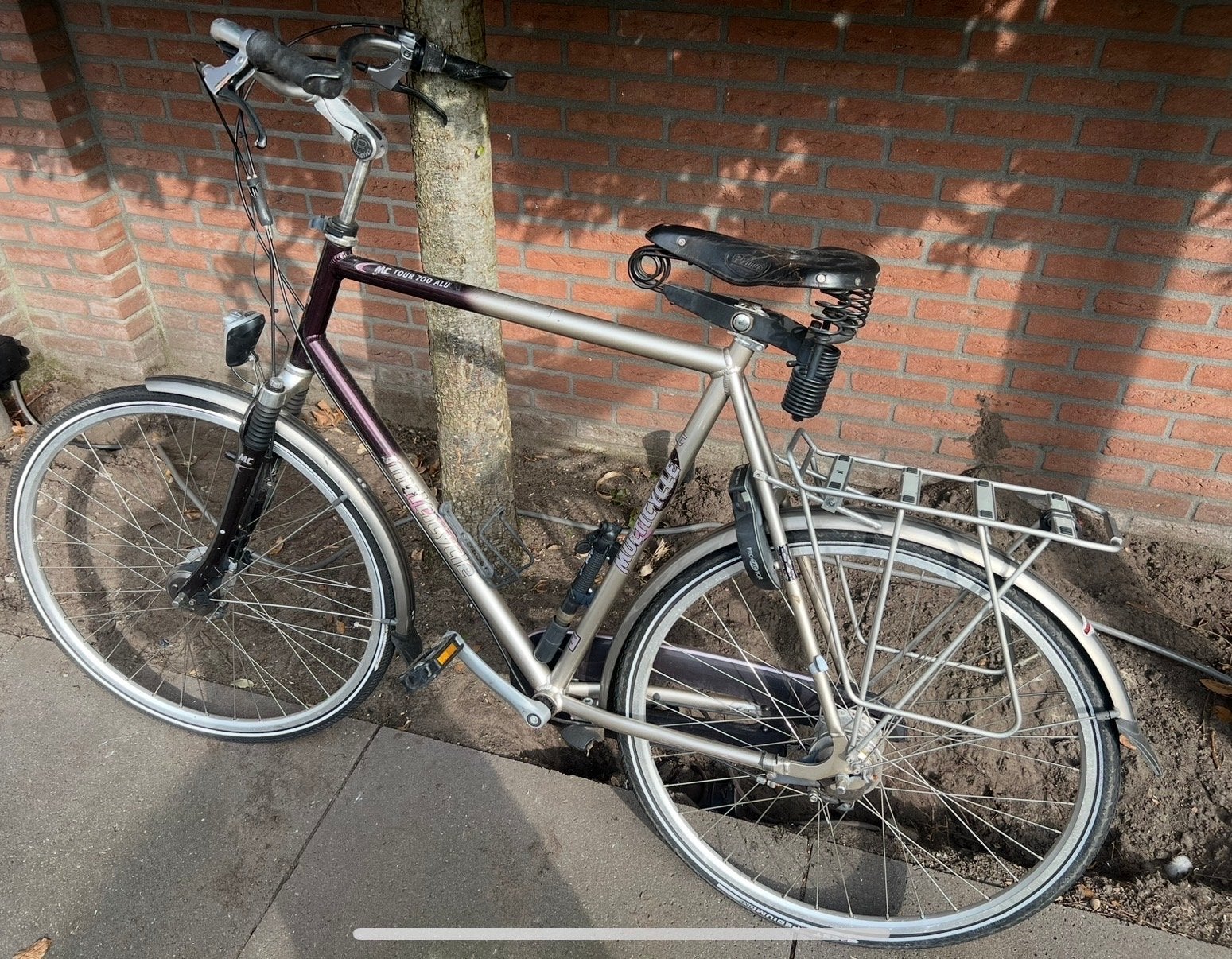Multicycle  - Comfortabel en Betrouwbaar, Velgrem, Versnellingen, Ophalen, Overige merken