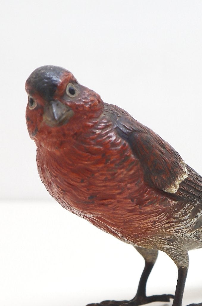 Weens bronsje vink, Antiek en Kunst, Ophalen of Verzenden, Brons