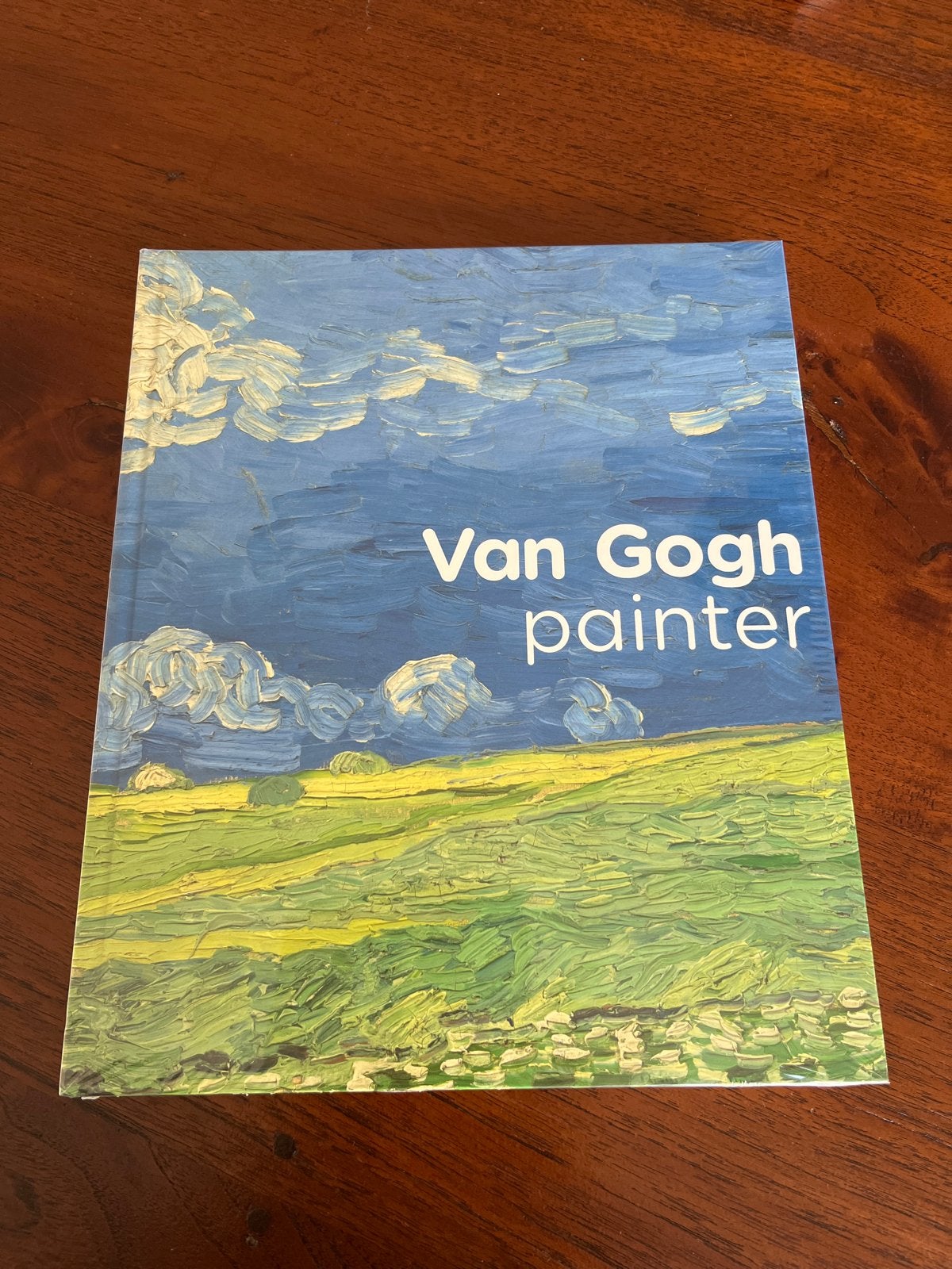 Van Gogh Painter - Boek over Vincent van Gogh, Ophalen, Nieuw, Schilder- en Tekenkunst