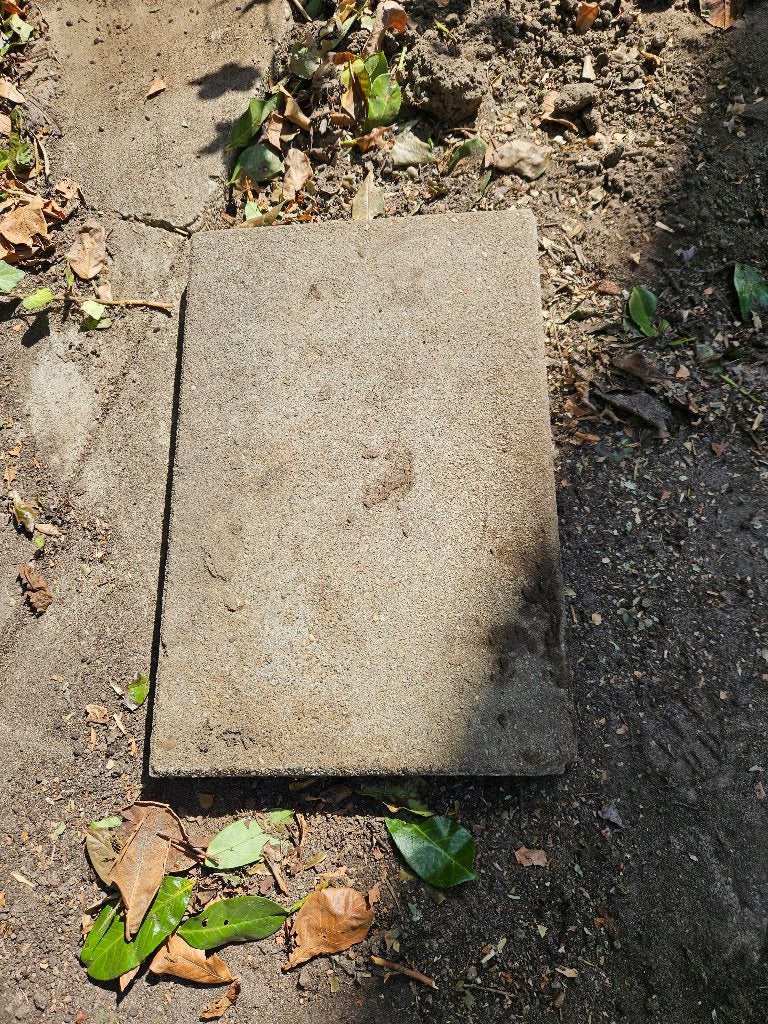 betontegels 40x60x6, Tuin en Terras, Tegels en Klinkers, Ophalen, Gebruikt, Overige typen, 5 tot 10 m²