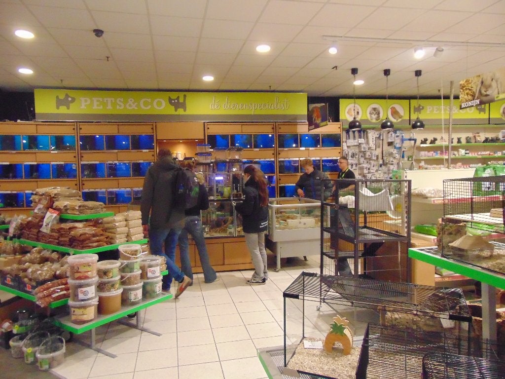 Hamsterbenodigdheden in Assen., Ophalen, Nieuw, Overige typen
