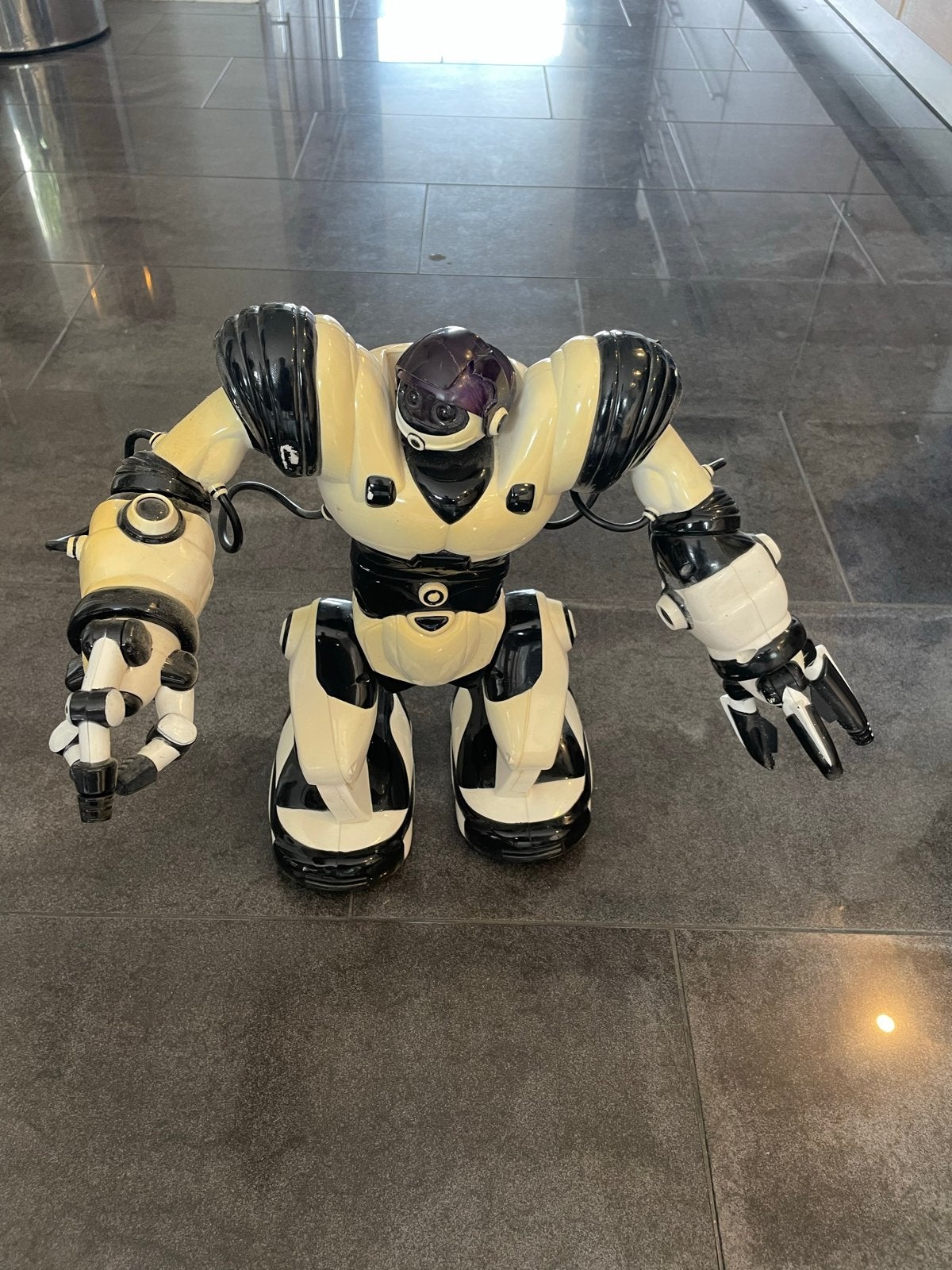 Grote Interactieve Robot Speelgoed - Zwart/Wit, Ophalen, Gebruikt