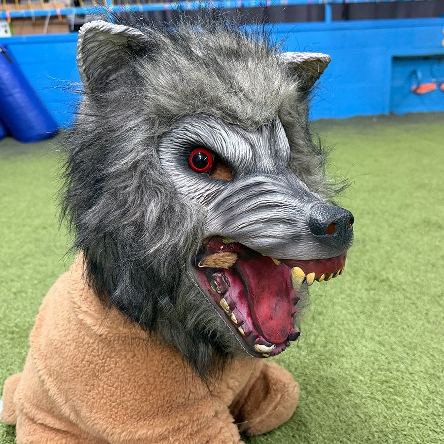 Grijze weerwolfmasker CreepyParty (Carnaval), Ophalen of Verzenden, Zo goed als nieuw, Dier