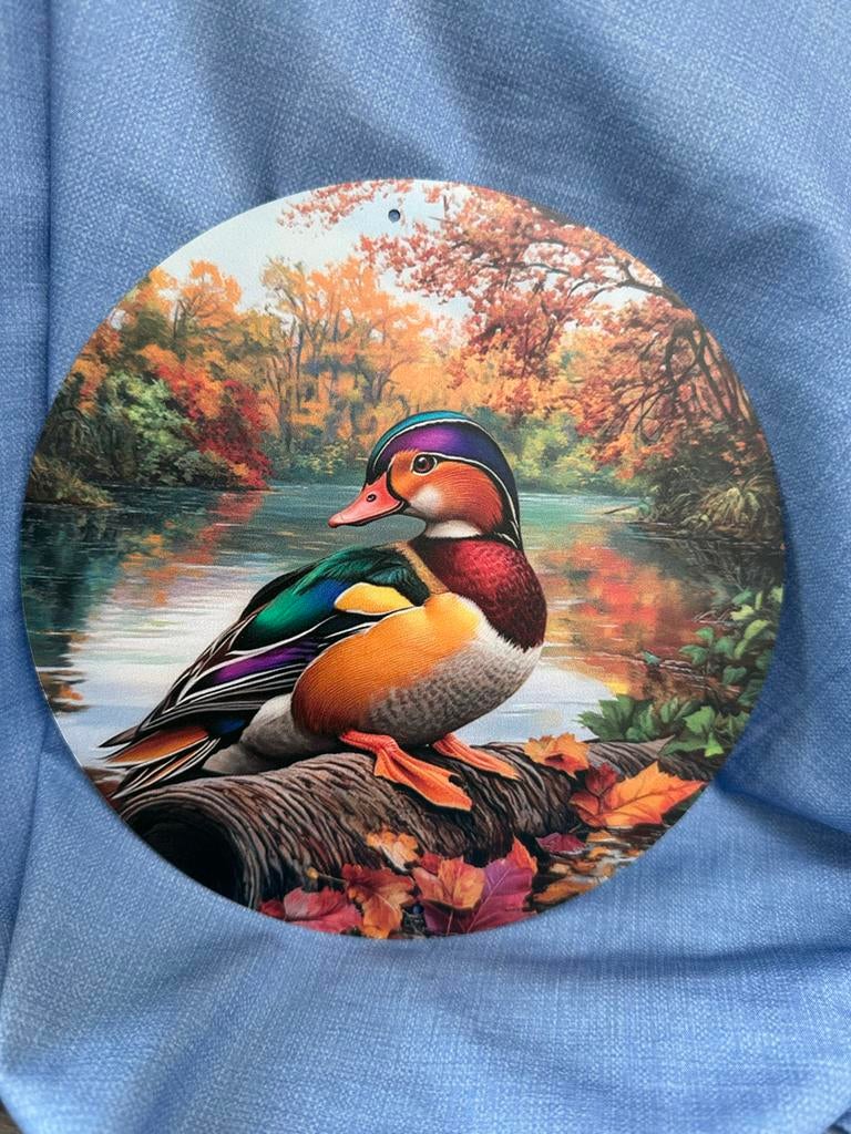 Metalen bord Mandarijn eend bij vijver in het bos, Ophalen of Verzenden, Nieuw