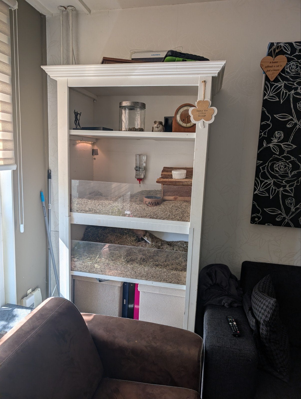 cavia kast (knaagdier), Ophalen, Konijn, 90 cm of meer, Hok