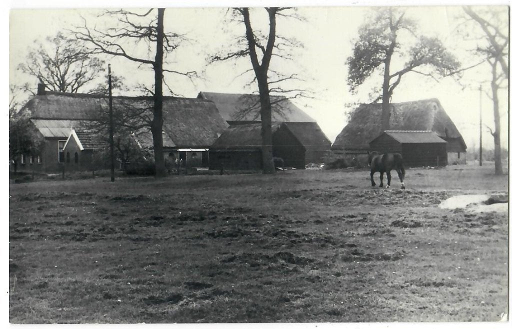 Ruinen - Boerderij Geuzinge, Verzenden, 1980 tot heden, Gelopen, Drenthe