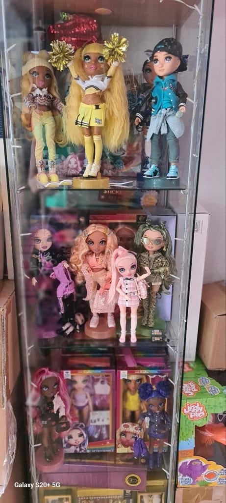 Grote collectie Rainbow High en andere poppen, Kinderen en Baby's, Speelgoed | Poppen, Zo goed als nieuw, Overige typen, Ophalen of Verzenden