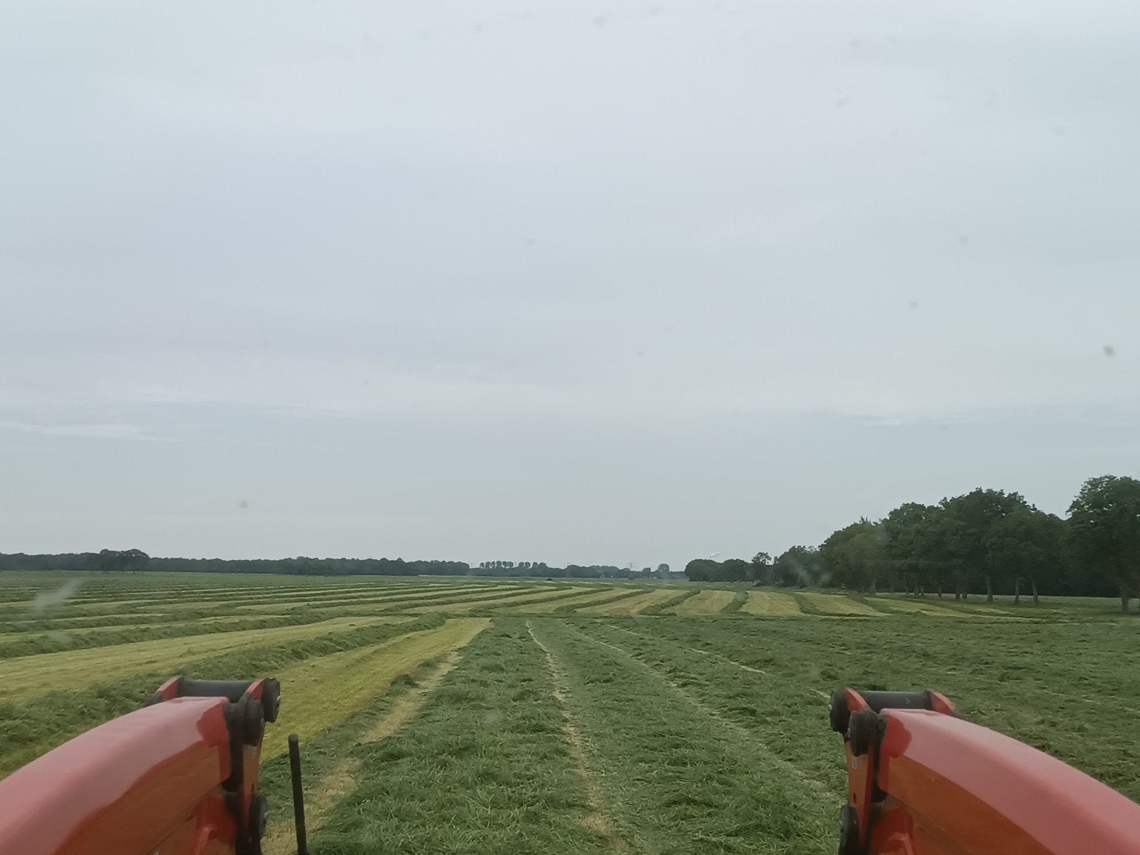 130 balen gesneden 2e snee bemest, Dieren en Toebehoren, Dierenvoeding, Ophalen, Vee