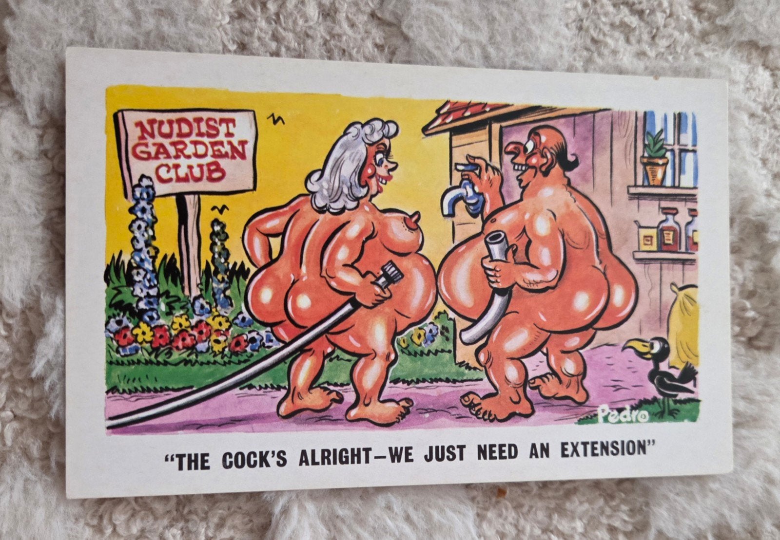 Vintage humoristische ansichtkaart - Nudist Garden Club, Verzamelen, Verzenden, 1960 tot 1980, Ongelopen, Overige thema's