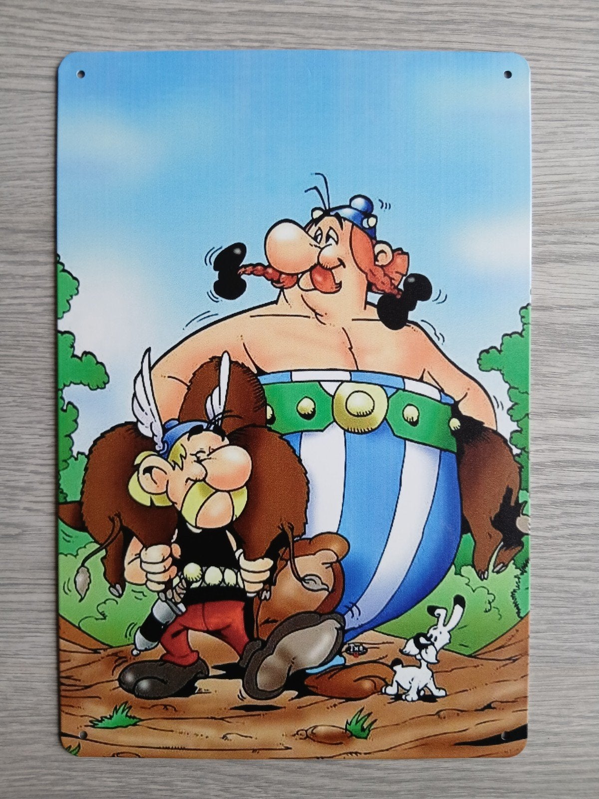 Asterix En Obelix 20x30 cm Metalen Reclamebord, Ophalen of Verzenden, Nieuw, Reclamebord