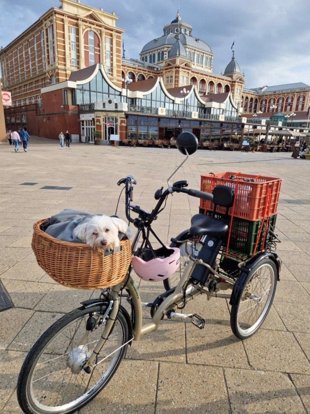 Elektrische driewieler fiets COMFORT met nieuwe accu+oplader, Ophalen, Gebruikt, COMFORT