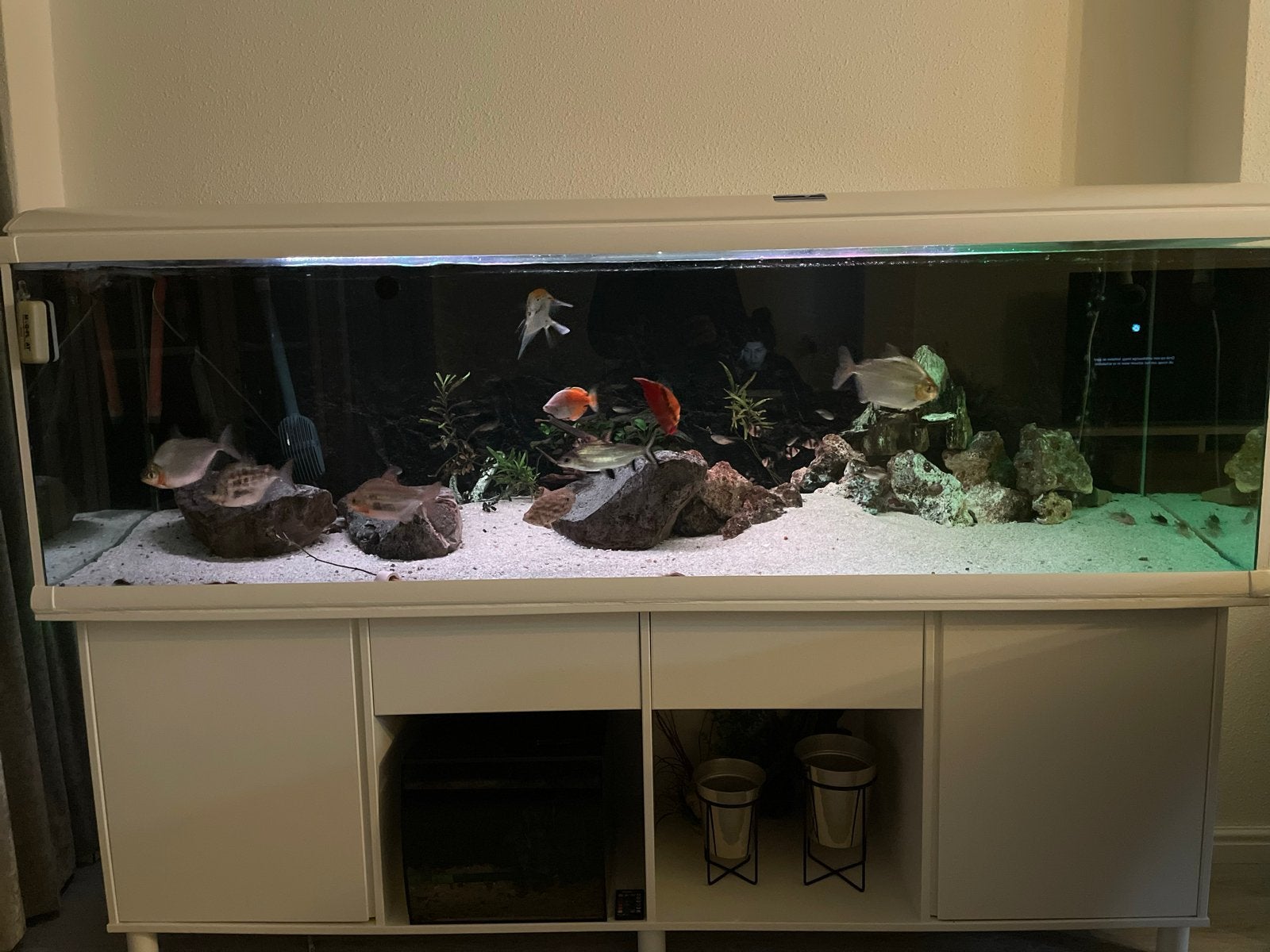 Tropische vissen aquarium 200x70x60cm. Met alles erbij, Ophalen, Gebruikt, Oase, Leeg aquarium