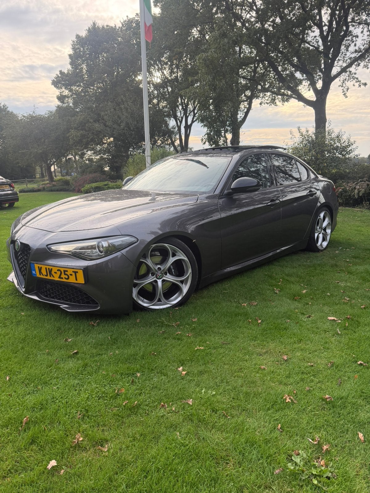 Alfa Romeo Giulia, Automaat, 745 kg, Achterwielaandrijving, 4 cilinders