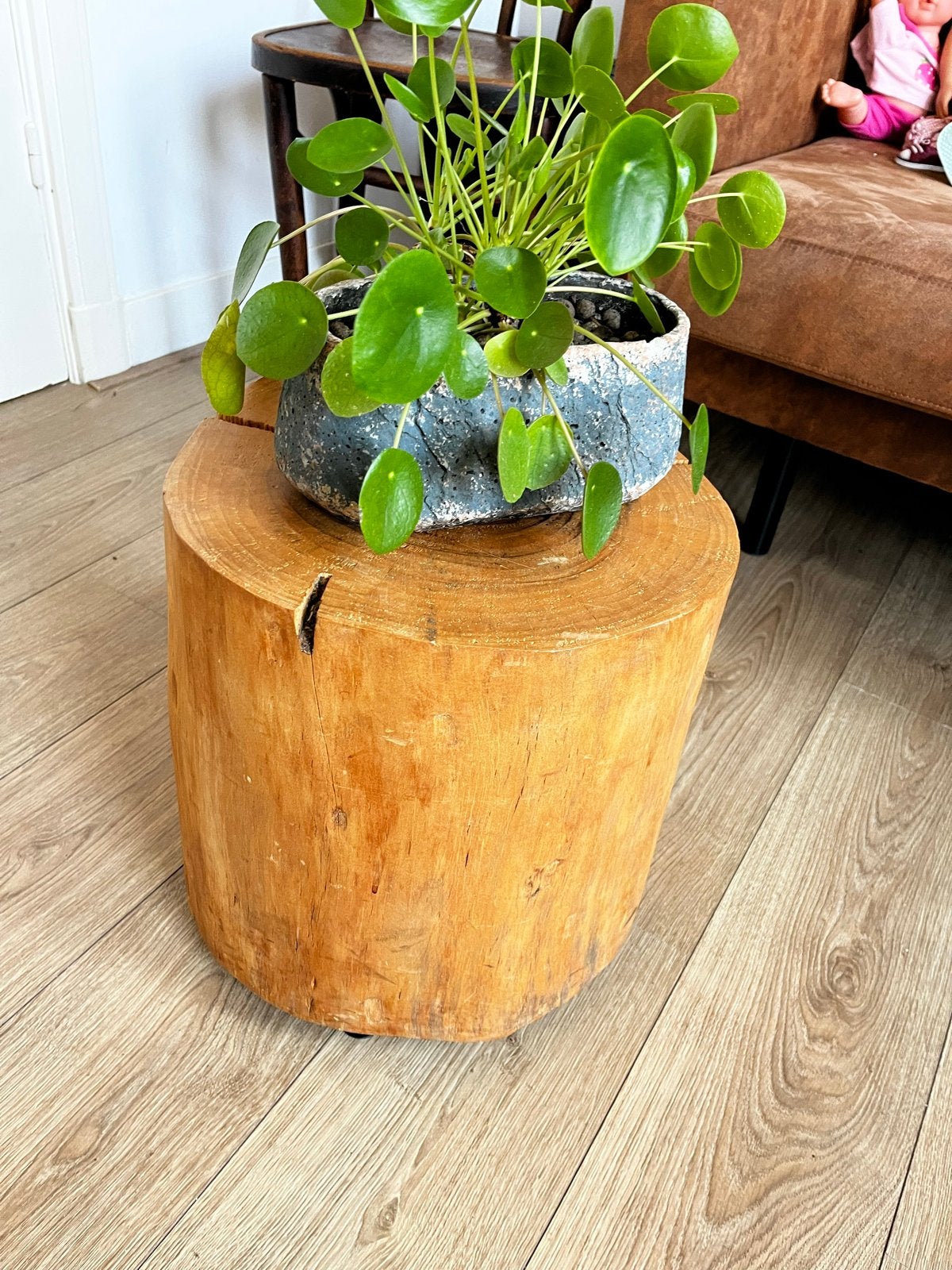 Boomstam bijzettafel - verstelbaar - 38x35 cm, Huis en Inrichting, Tafels | Bijzettafels, Minder dan 55 cm, Gebruikt, Rond, Hout