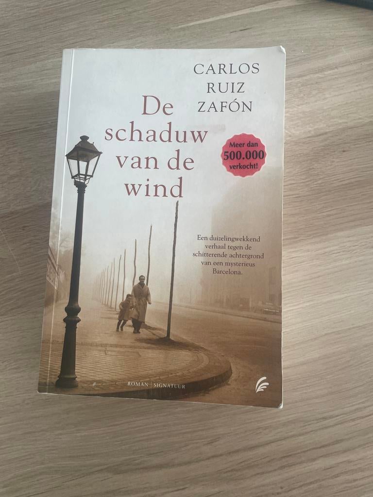 De schaduw van de wind - Carlos Ruiz Zafón, Boeken, Fantasy, Zo goed als nieuw, Ophalen of Verzenden