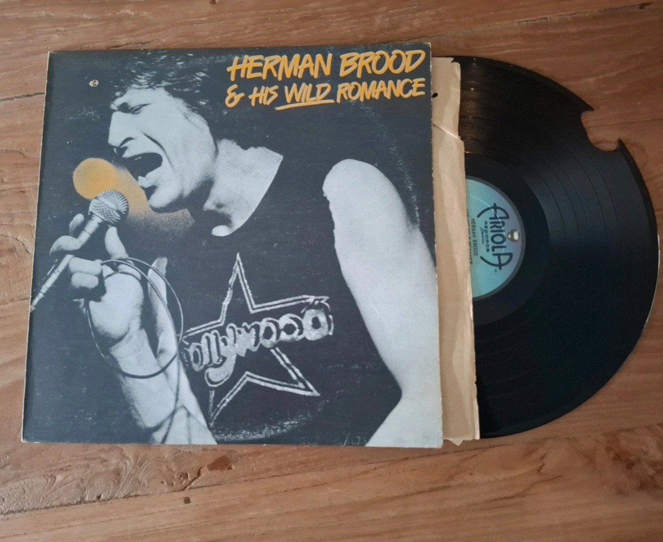 Herman Brood LP  ( Canada ), Ophalen of Verzenden, LP