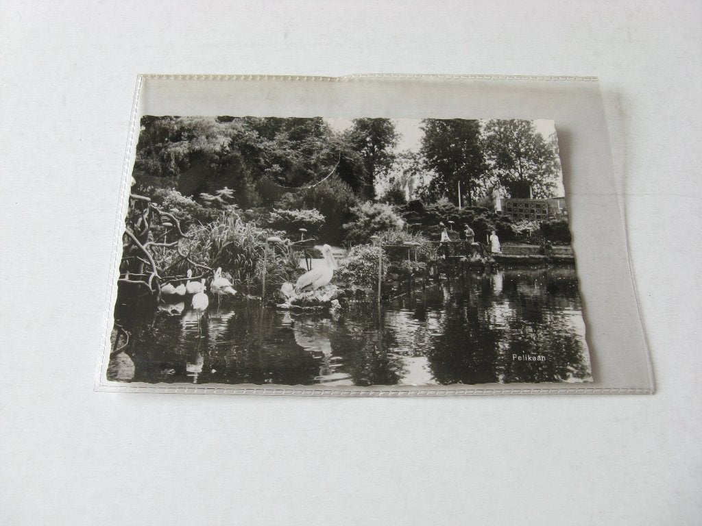 Vogelpark Avifauna Alphen aan de Rijn, Verzenden, Voor 1920, Gelopen, Noord-Brabant