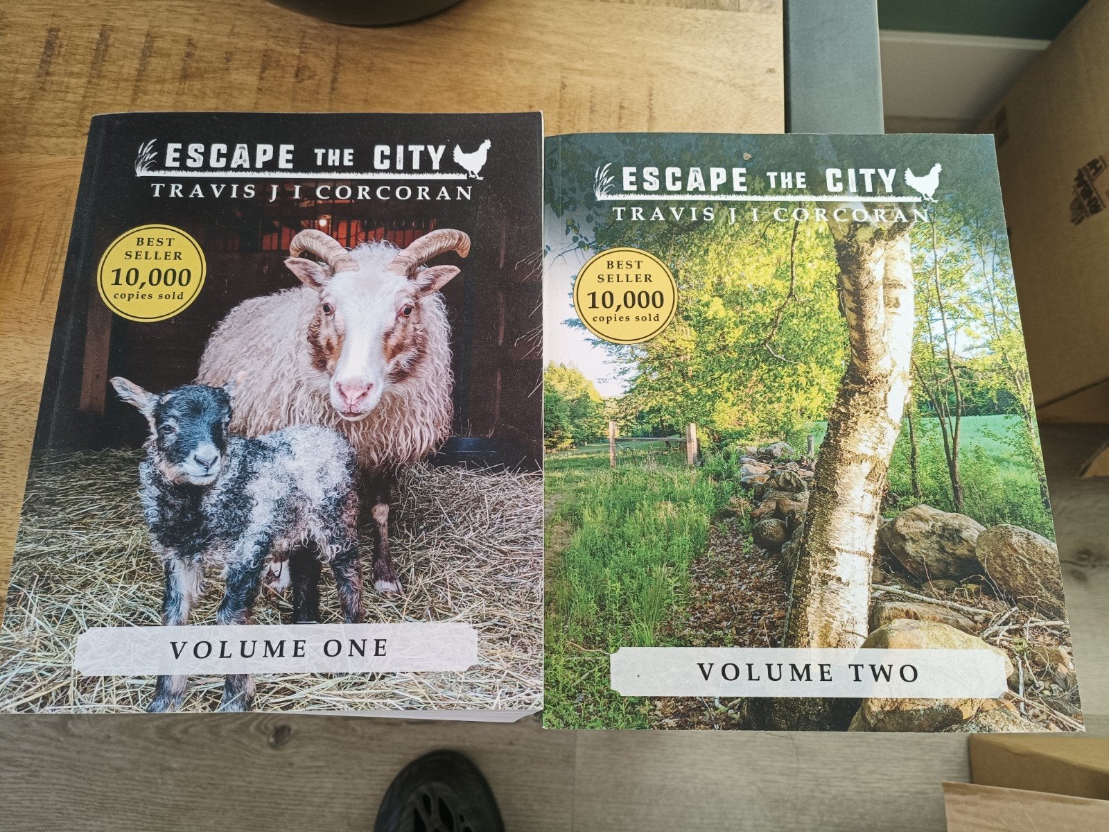 Escape the City - Volume Een & Twee - Travis J.I. Corcoran, Boeken, Ophalen, Zo goed als nieuw, Travis J.I. Corcoran, Amerika
