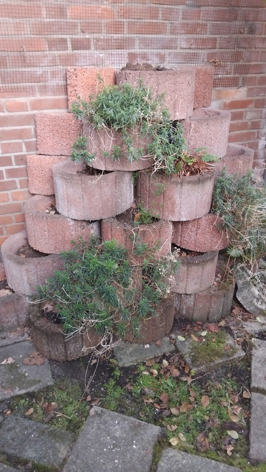 Gratis: 19 gebruikte plantenbakken van beton, Tuin en Terras, Ophalen, Gebruikt, Minder dan 30 cm, Minder dan 60 cm