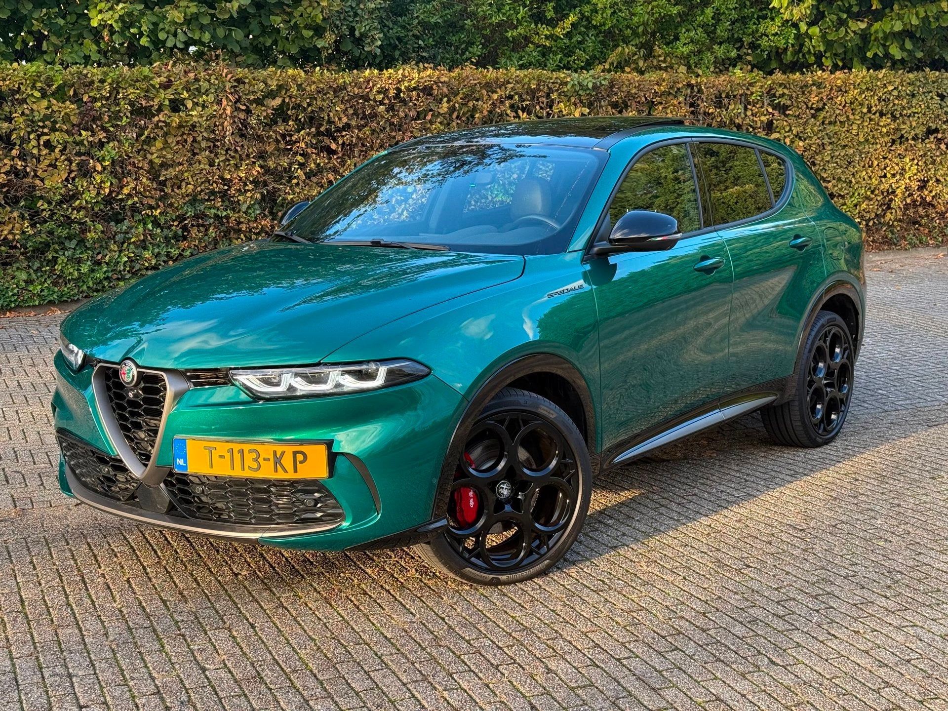 Alfa Romeo Tonale 1.3T PHEV Edizione Speciale Q4 | Verde Mon, Auto's, 12 maanden, 77 km/l, 4 cilinders, 15 kWh
