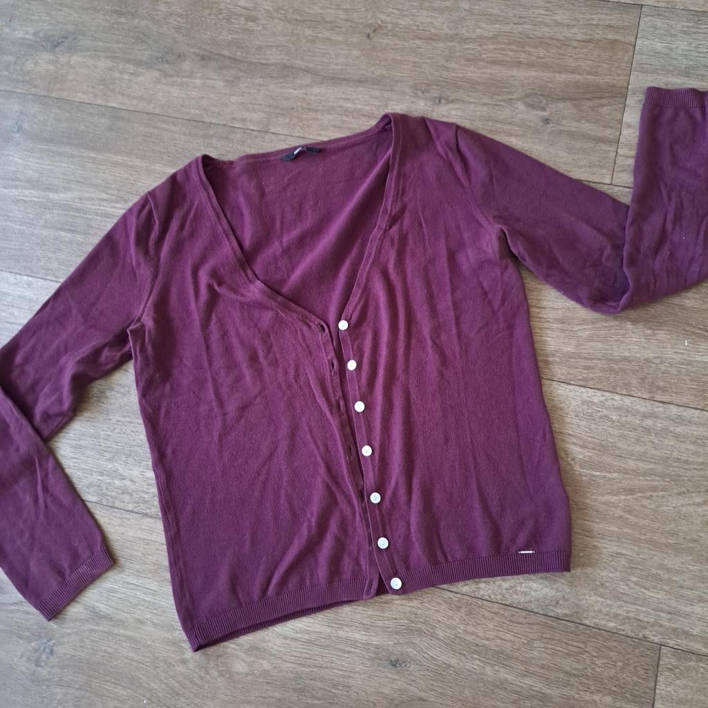 bordo rood vest mt. L, Maat 42/44 (L), Ophalen of Verzenden, Zo goed als nieuw, Hema