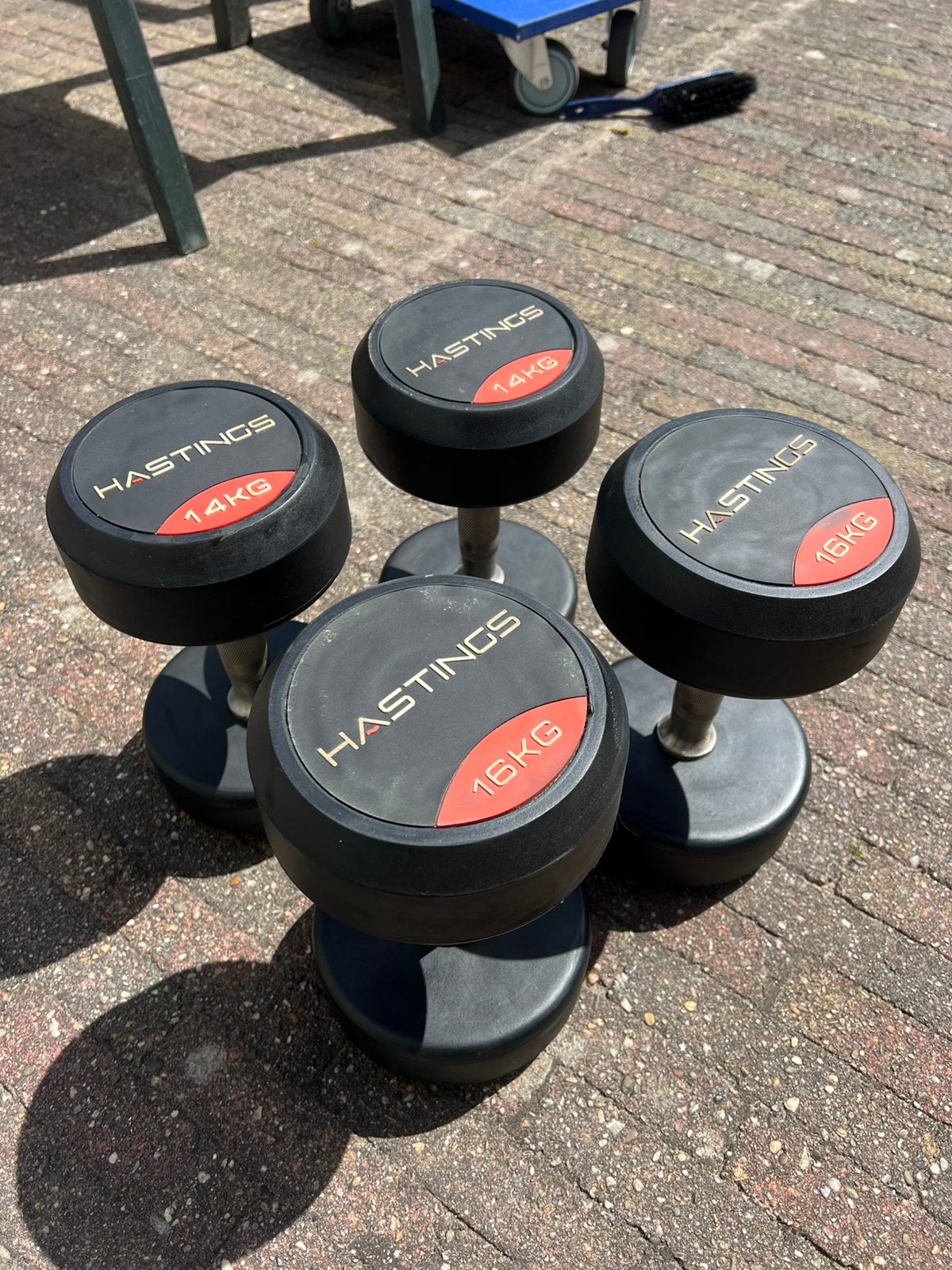 Dumbells 14kg & 16kg HASTINGS, Ophalen, Zo goed als nieuw, Dumbbell