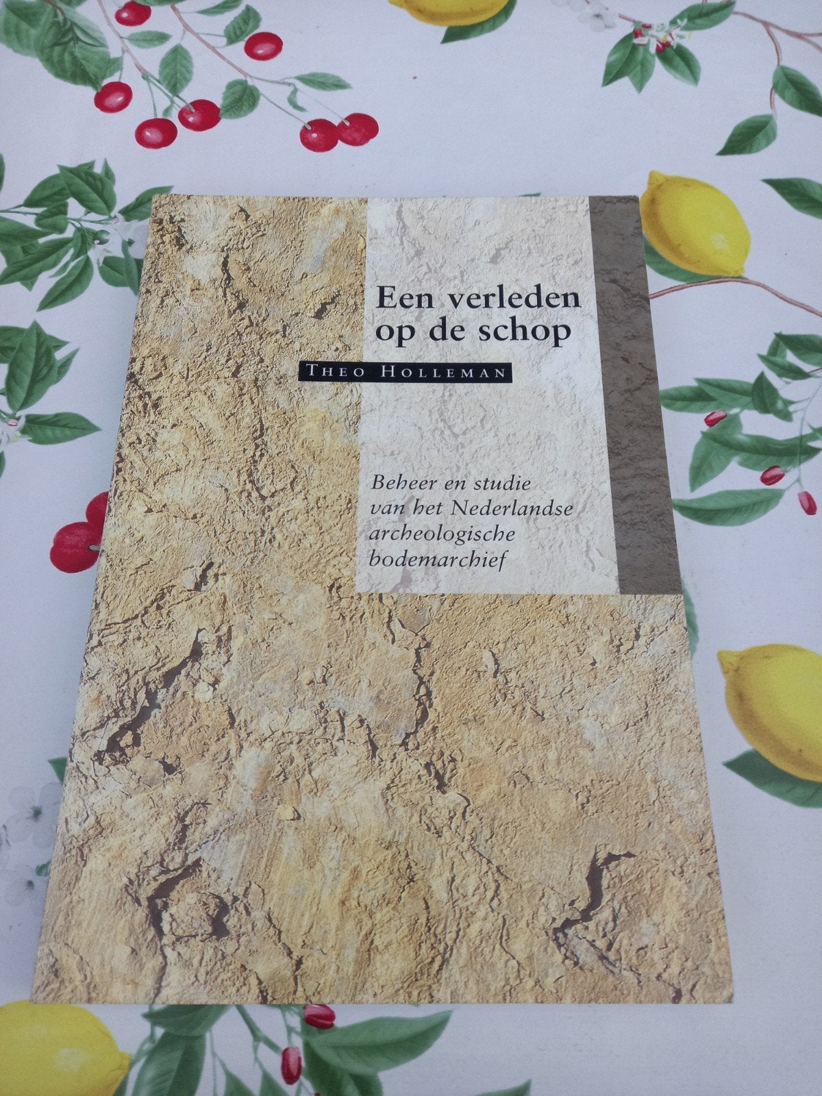 Y T. Holleman - Een verleden op de schop, Ophalen of Verzenden, Zo goed als nieuw, T. Holleman
