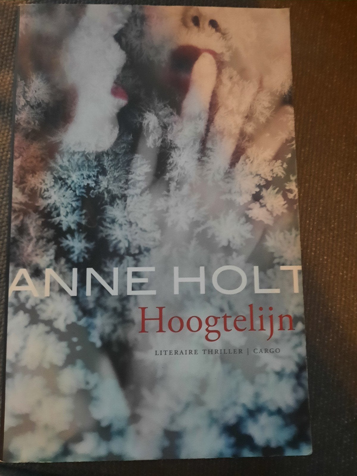 Anne Holt - Hoogtelijn, Ophalen of Verzenden, Zo goed als nieuw, Anne Holt