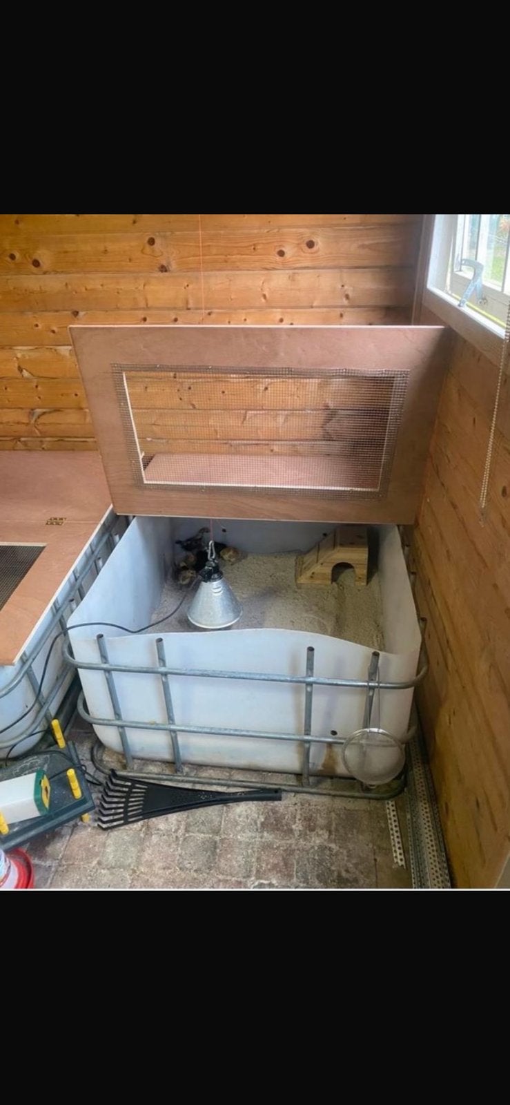 Te koop opfokbak voor kuikens, Dieren en Toebehoren, Ophalen of Verzenden, Overige typen