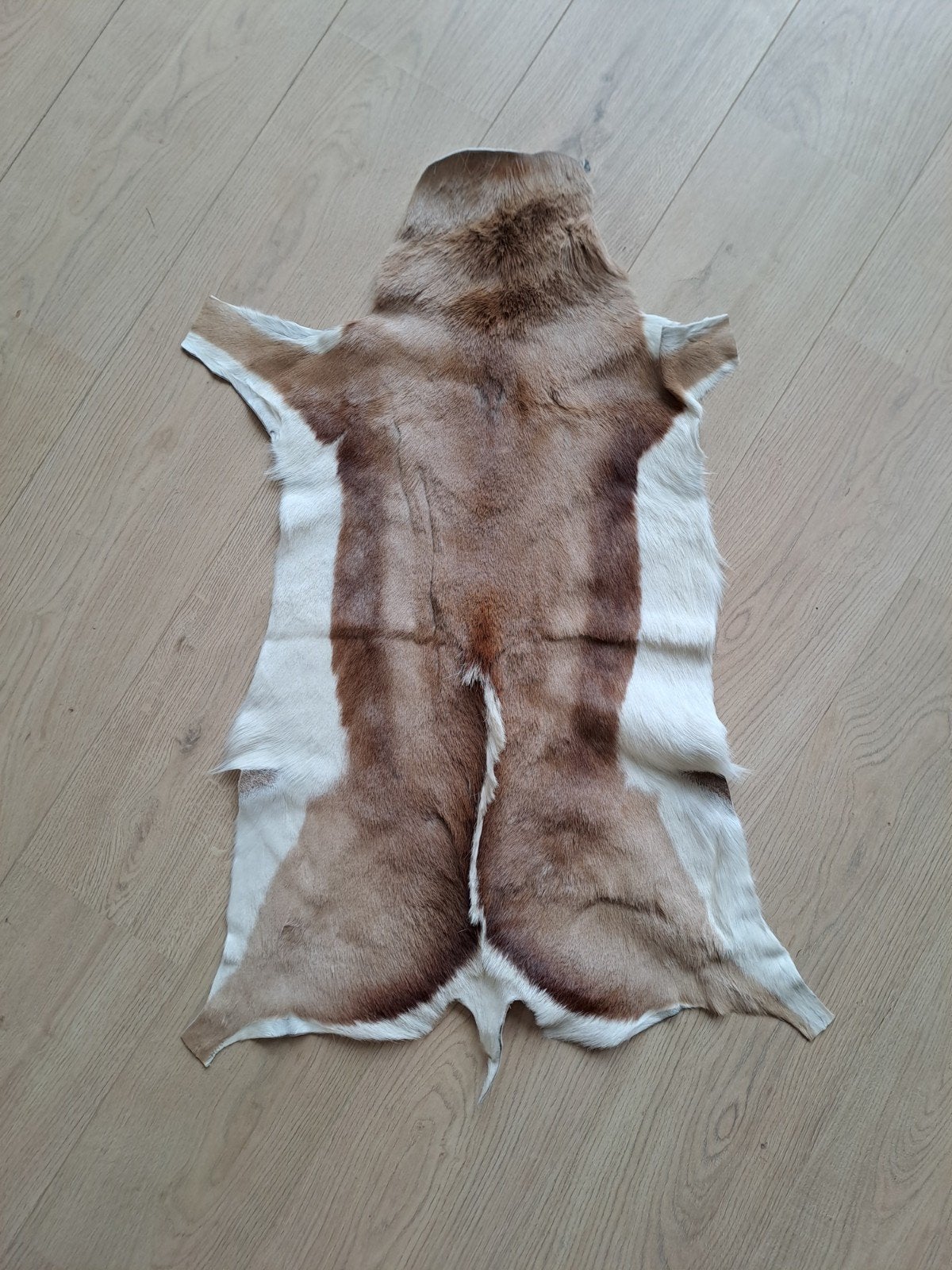 springbok huid zuid afrika, Huis en Inrichting, Ophalen of Verzenden, Zo goed als nieuw, Beige, Rechthoekig