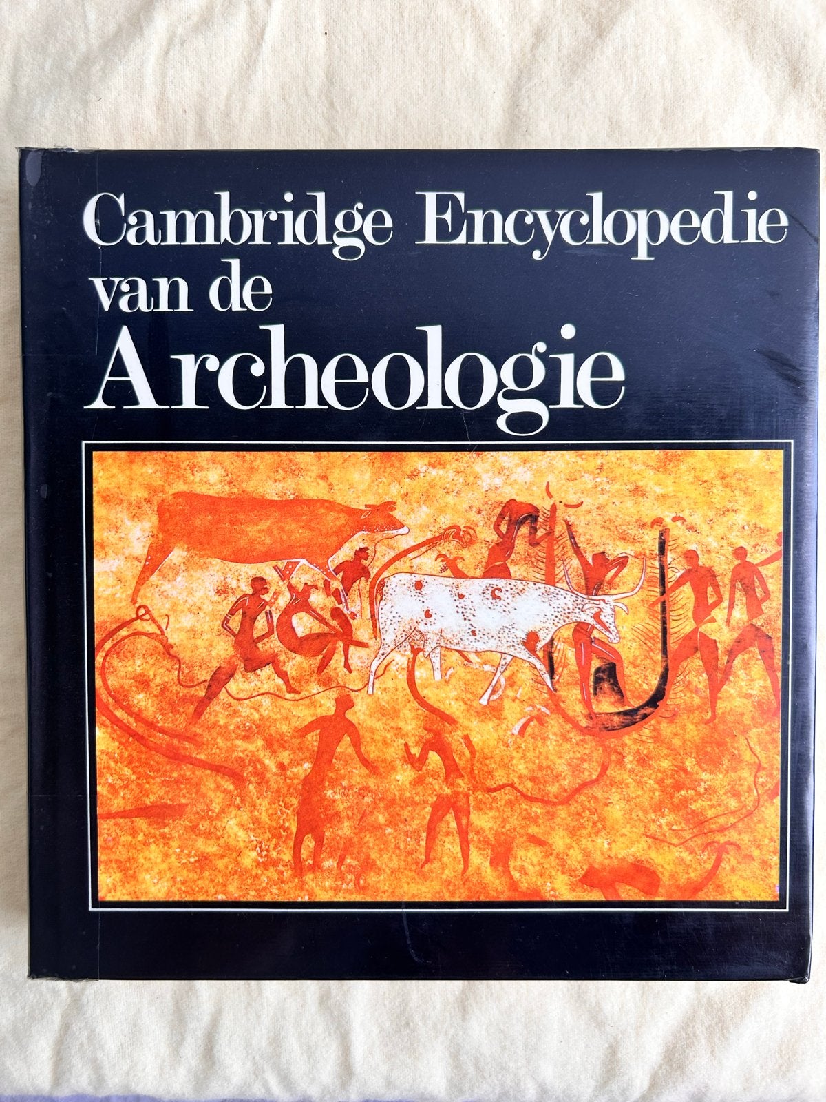 Cambridge Encyclopedie van de Archeologie, Boeken, Encyclopedieën, Ophalen of Verzenden, Zo goed als nieuw, Algemeen, Los deel