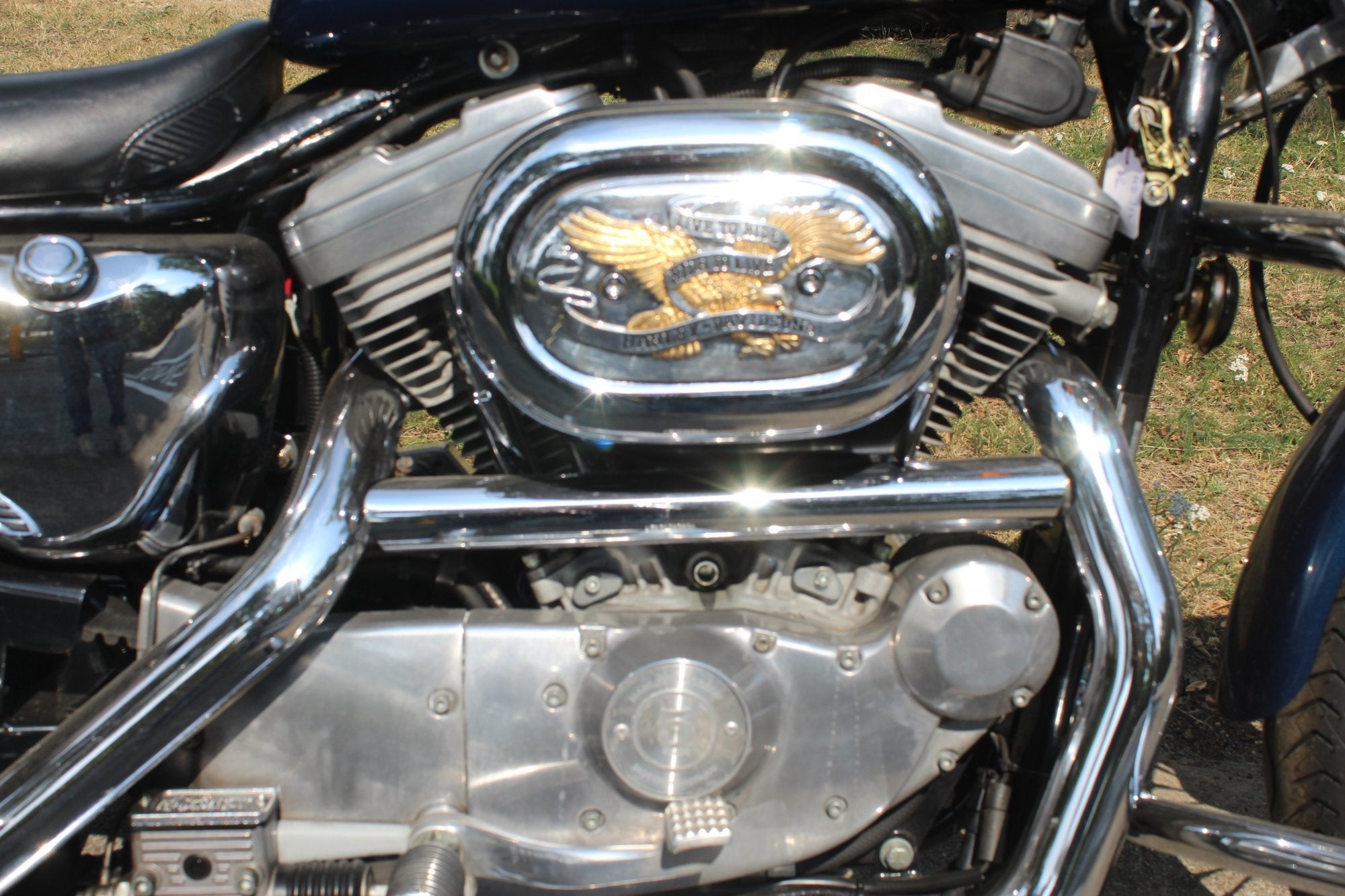 Harley-Davidson XL 883 Sportser, Motoren, Motoren | Harley-Davidson, Chopper, Bedrijf, 883 cc, Meer dan 35 kW