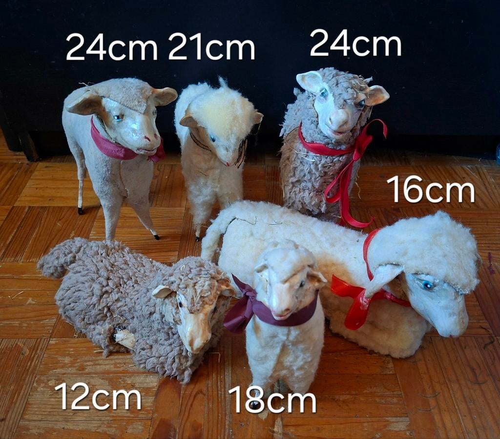 Schapen, Ophalen of Verzenden