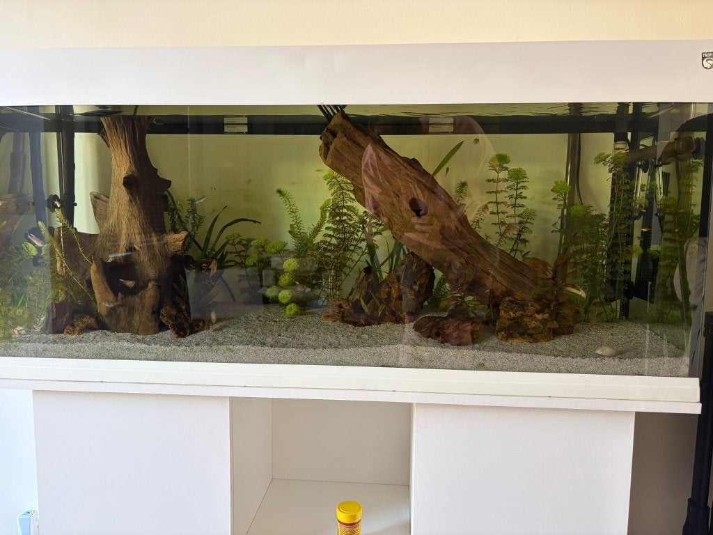 aqaurium 120x40x50, Ophalen, Gebruikt, Leeg aquarium