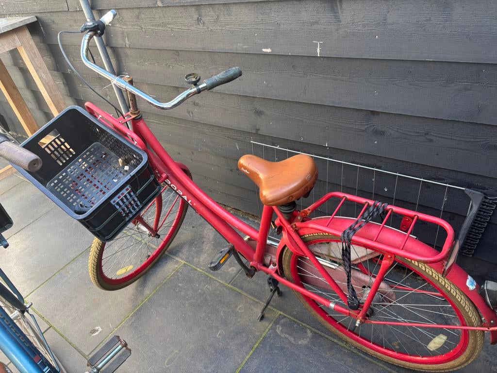 Popal, Fietsen en Brommers, Fietsen | Meisjes, 26 inch of meer, Terugtraprem, Gebruikt, Versnellingen