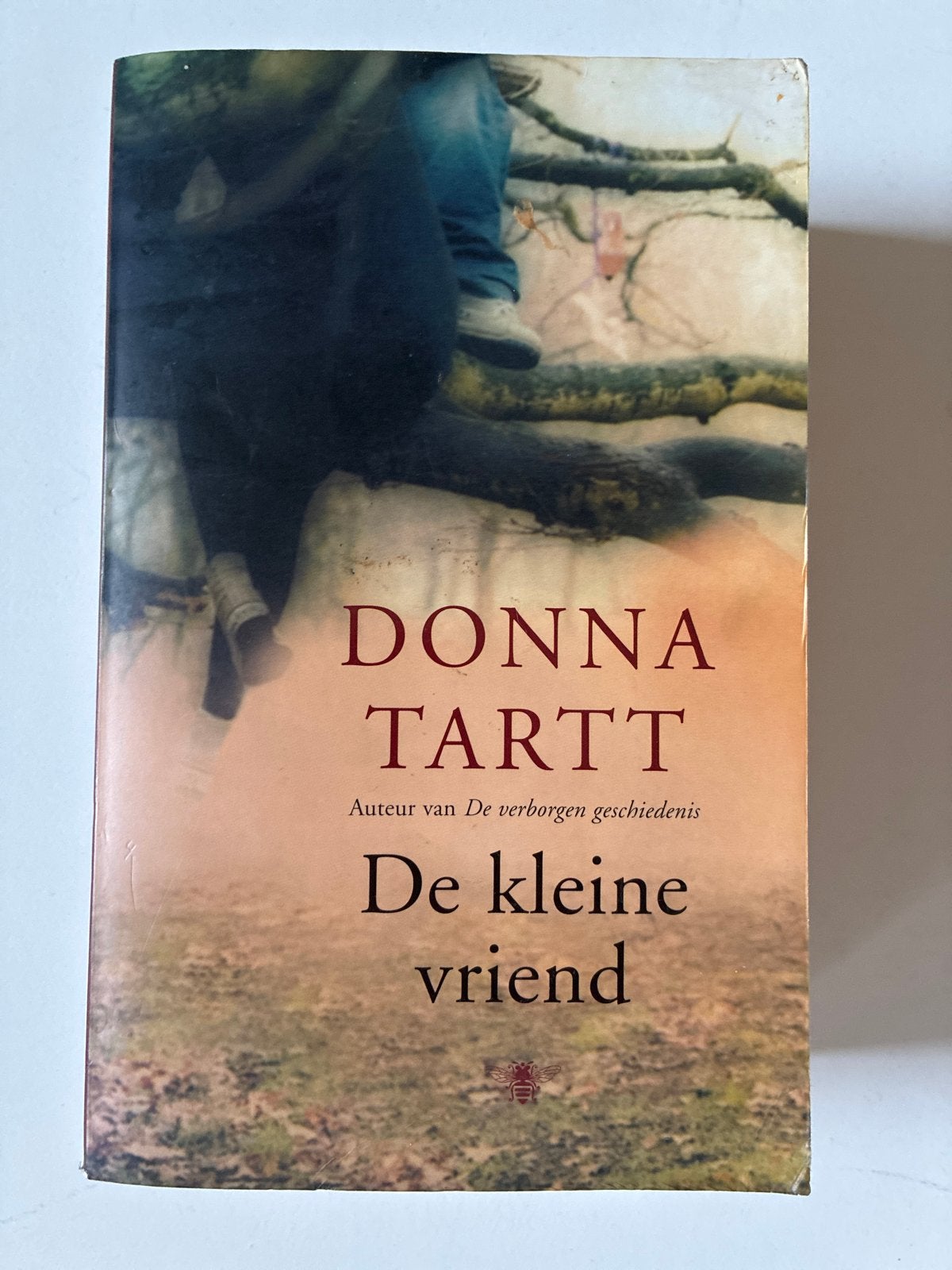 De kleine vriend - Donna Tartt (Paperback), Ophalen of Verzenden, Gelezen, Amerika