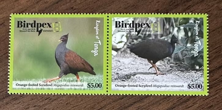 Tonga 2018 Birdpex postfris vogels, Ophalen of Verzenden, Postfris