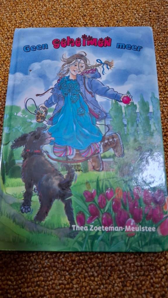 Thea Zoeteman - Geen geheimen meer, Boeken, Ophalen of Verzenden, Zo goed als nieuw