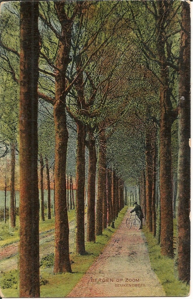 Ansichtkaart Bergen op Zoom Beukendreef 1920, Verzamelen, Ansichtkaarten | Nederland, Ophalen of Verzenden, 1920 tot 1940, Gelopen