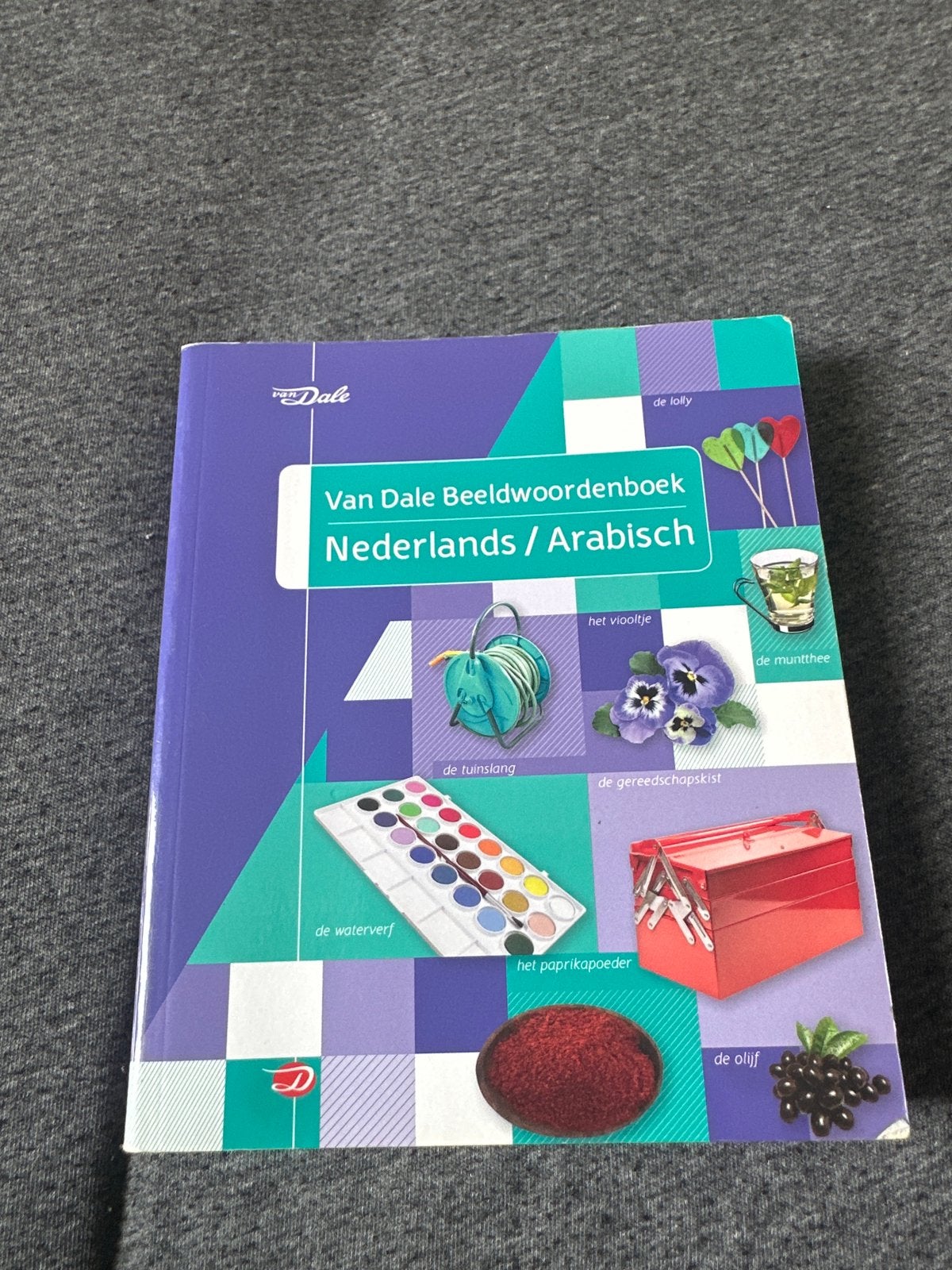 Van Dale Beeldwoordenboek Nederlands / Arabisch, Ophalen of Verzenden, Zo goed als nieuw, Non-fictie