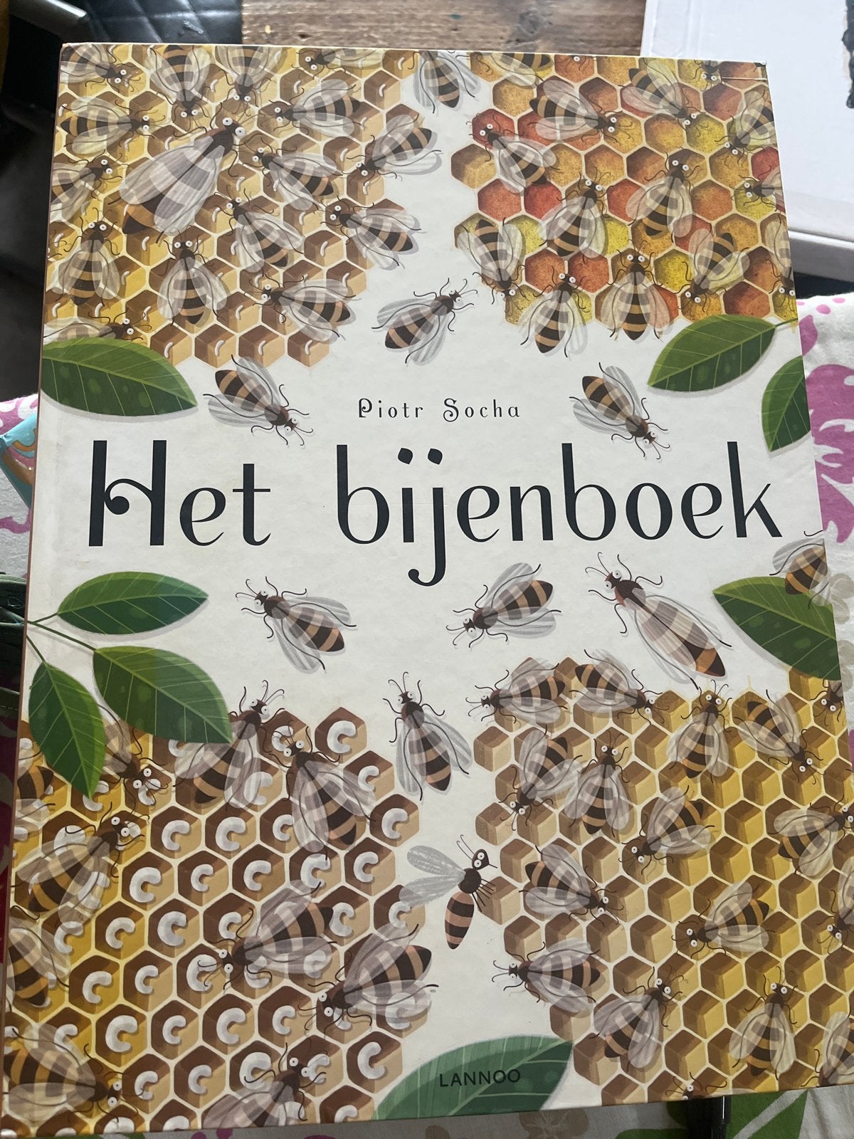 Het bijenboek - Piotr Socha, Boeken, Prentenboeken en Plaatjesalbums, Ophalen of Verzenden