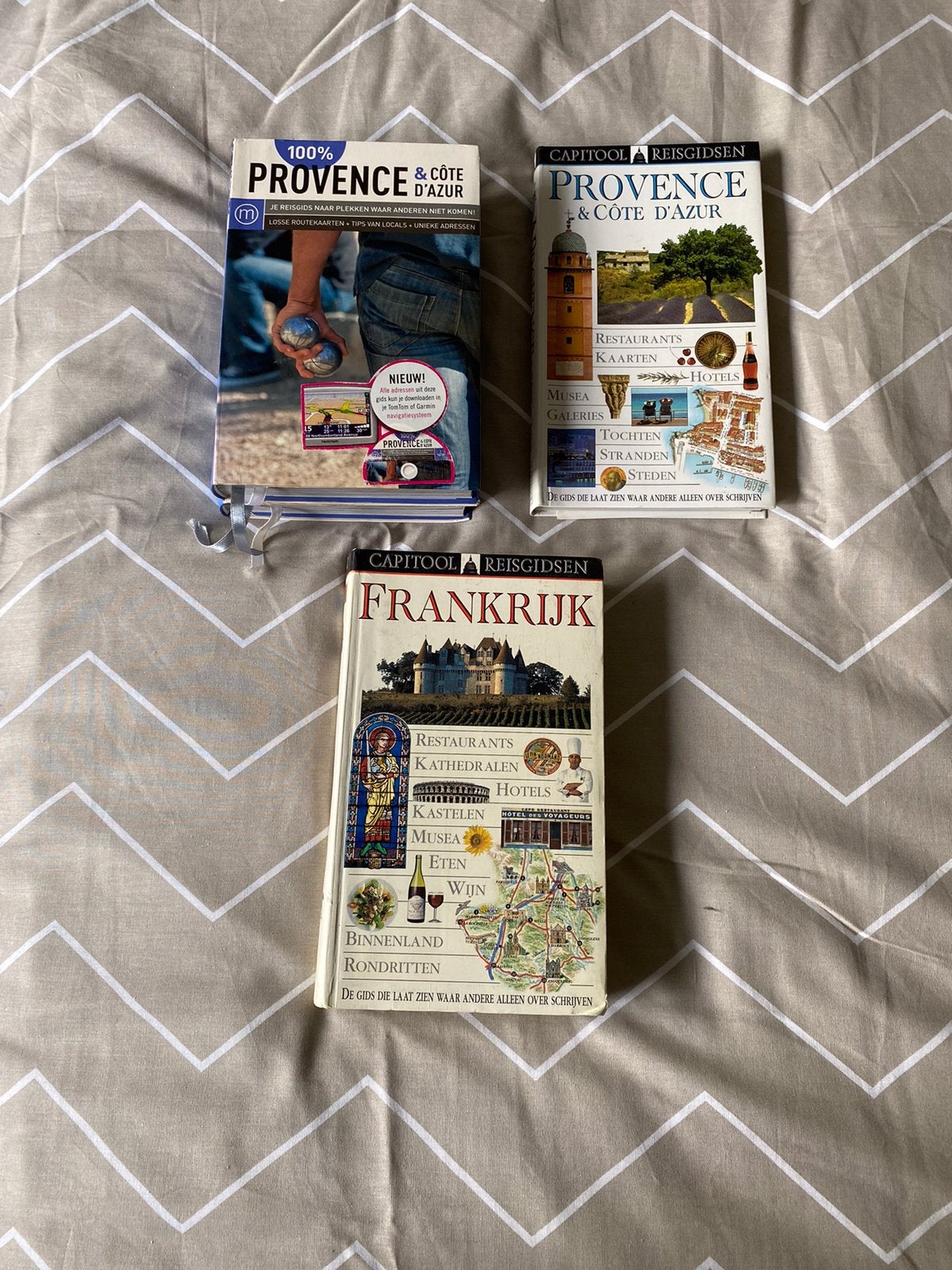 Frankrijk capitool provence Bretagne, Boeken, Reisgidsen, Gelezen, Capitool, Europa, Ophalen of Verzenden
